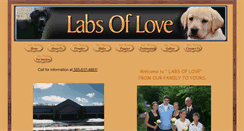 Desktop Screenshot of labsoflove.org